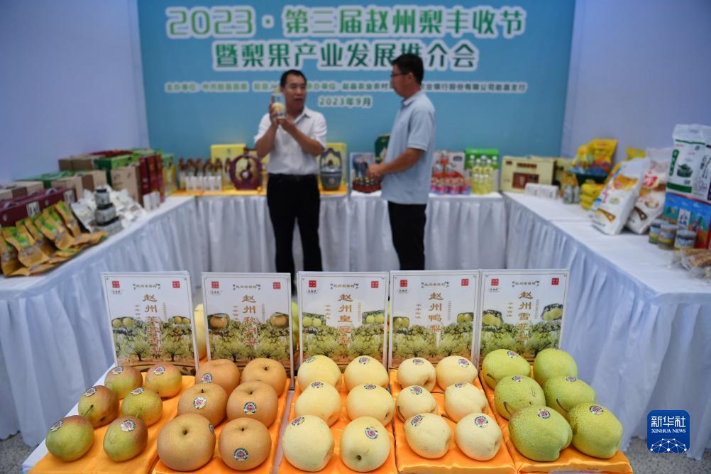 永利集团现金